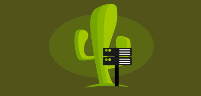 Is CactusVPN Safe